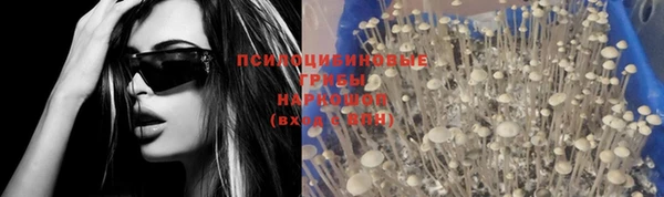 гашик Алексеевка