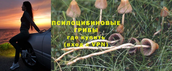 гашик Алексеевка