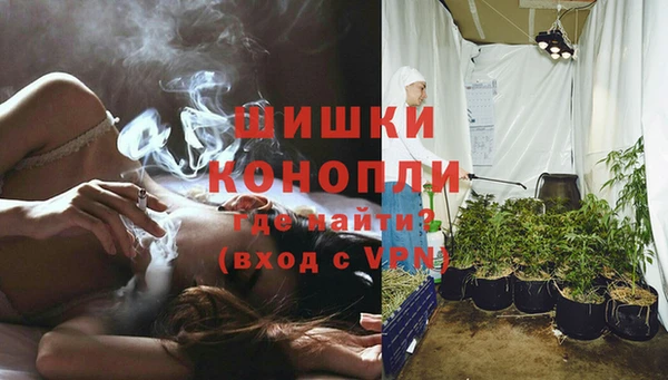 бошки Алексин