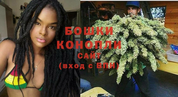 бошки Алексин