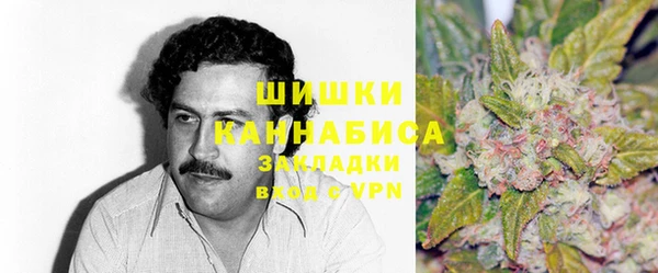бошки Алексин